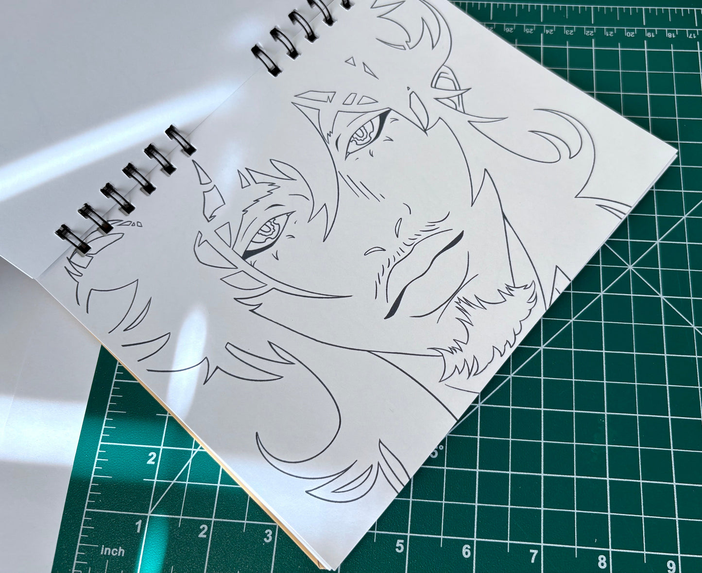 An Adult Coloring Book